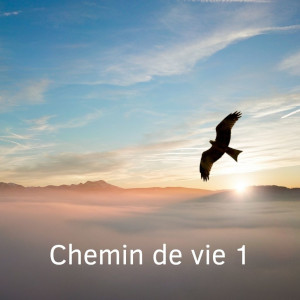 chemin de vie 1