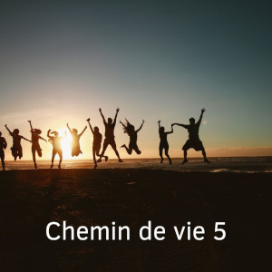 chemin de vie 5 jerome morel voyant