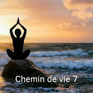 chemin de vie 7