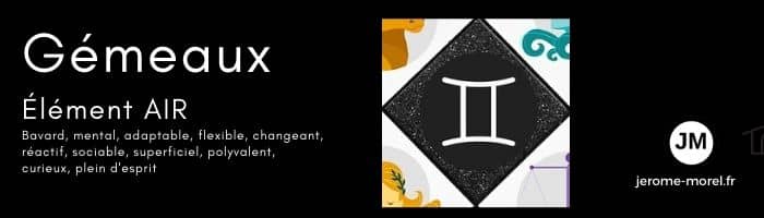 signe du zodiaque gémeaux par Jerome Morel Voyant