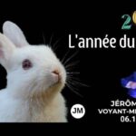 nouvel an chinois signe astrologique jerome morel voyant