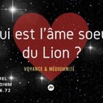qui est l'âme soeur du lion ?