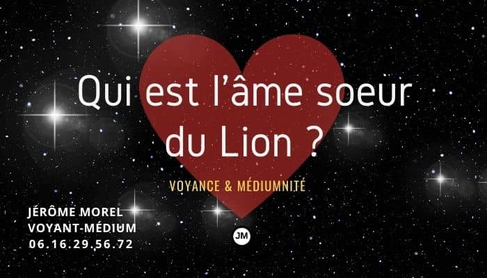 qui est l'âme soeur du lion ?